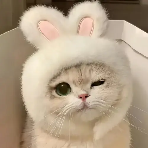1pc Bunny Ears Pullover Headwear for Cats & Small Dogs