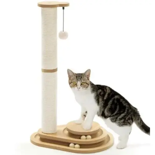 Cat Scratching Post